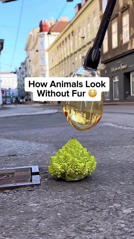 TikTok video by @ourplanet95 using the sound Aleph Gesaffelstein