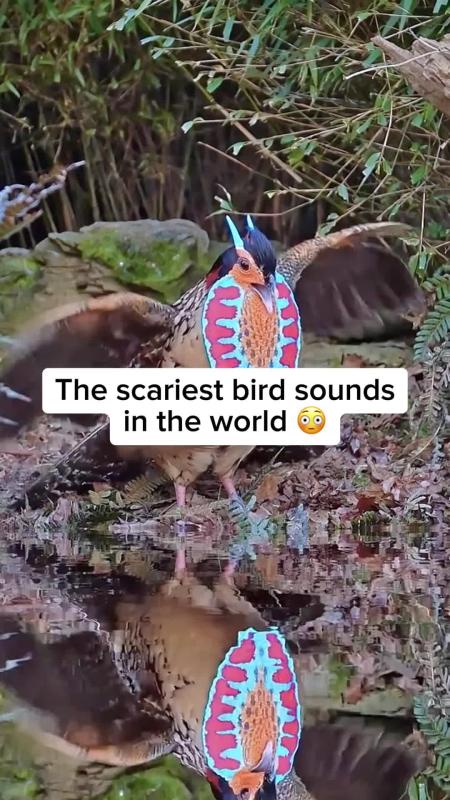 TikTok video by @ourplanet95 using the sound Aleph Gesaffelstein