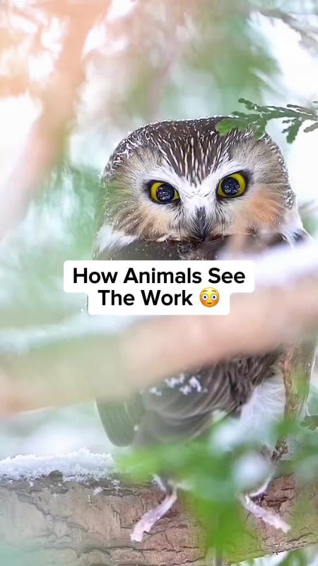 TikTok video by @ourplanet95 using the sound Aleph Gesaffelstein
