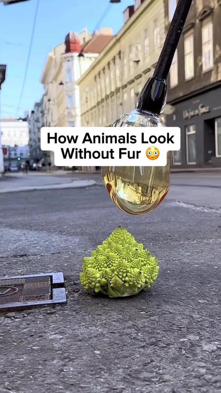 TikTok video by @ourplanet95 using the sound Aleph Gesaffelstein