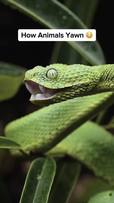 TikTok video by @ourplanet95 using the sound Aleph Gesaffelstein