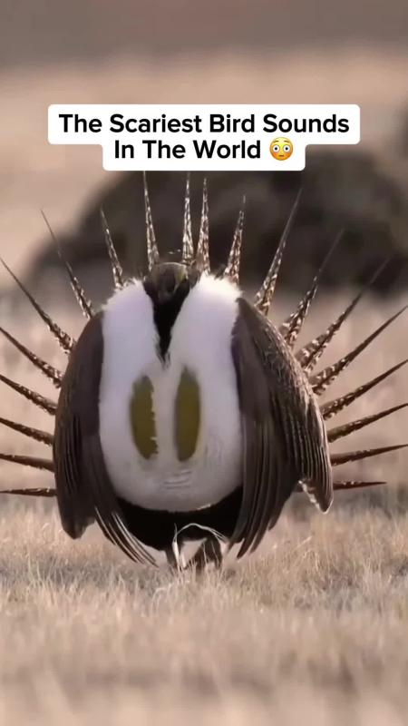 TikTok video by @ourplanet95 using the sound Aleph Gesaffelstein