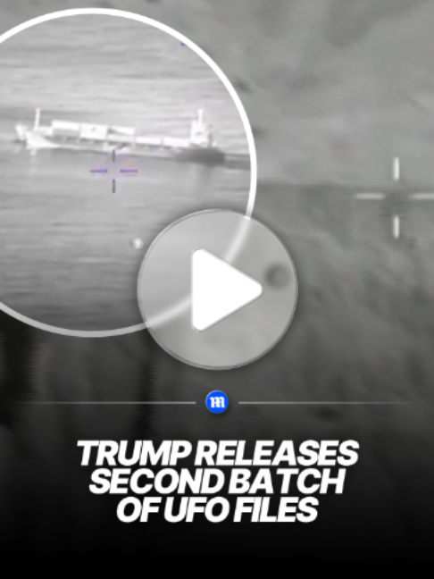 TikTok video by @dailymail using the sound Powerful dark futuristic science fiction film music(1536393)